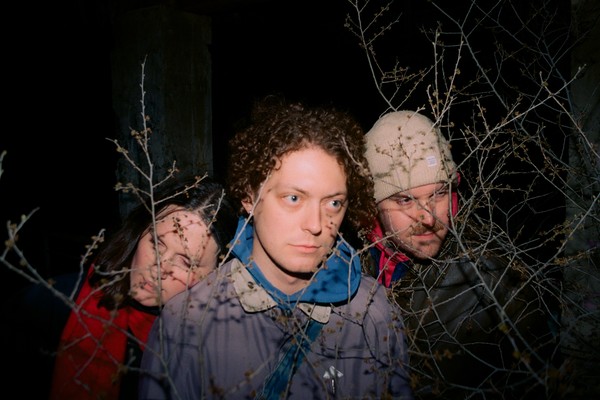 Taken through barren bushes, a photo featuring three members of Dresser, looking off to the side