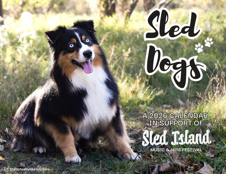 A striking black, brown, and white dog with bright blue eyes sits on sunlit grass in a forest clearing. Its tongue hangs out playfully. Text reads: “Sled Dogs – A 2026 Calendar in Support of Sled Island Music & Arts Festival.” Photo credit: @photosbylaurenclaire.