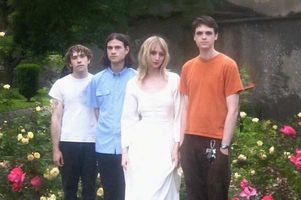 Photo of four-piece feeble little horse, posed standing in front of a bed of flowers