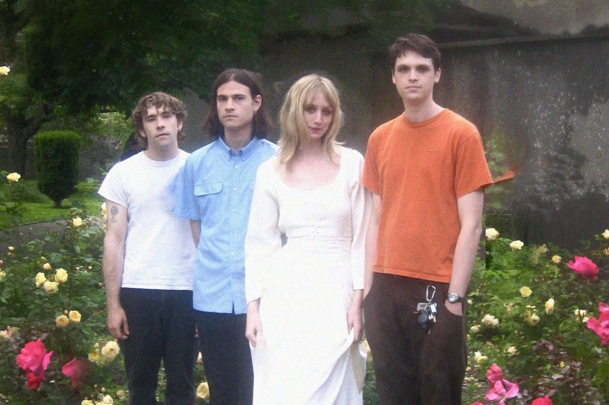 Photo of four-piece feeble little horse, posed standing in front of a bed of flowers