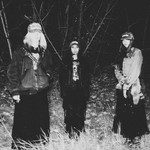 A fuzzy black and white photo shows three-piece band standing outside in a field at night with long grass and trees behind them. 